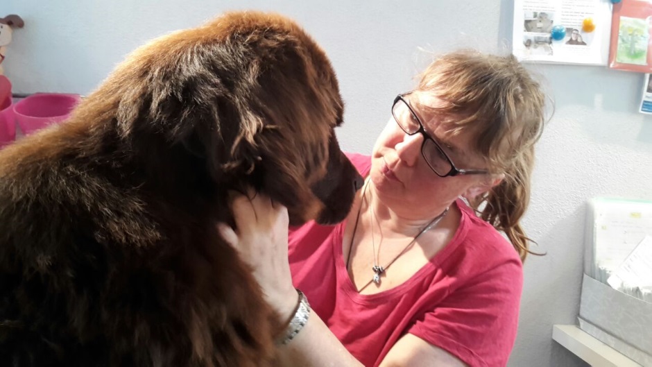Tierphysiotherapie Mario Böttler mit Hund